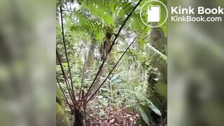 Pooping in the mountain