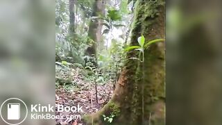 Pooping in the mountain