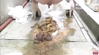 Scat Mountain - video 2