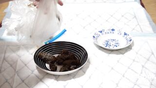Beautiful lady is playing with poop - video 2
