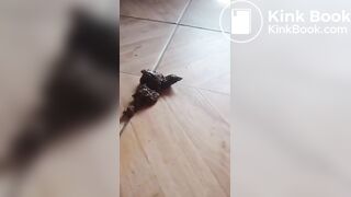 dirty solo scat milf