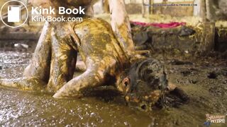 Kaitlyn ... Rough Fuck In Cowshit