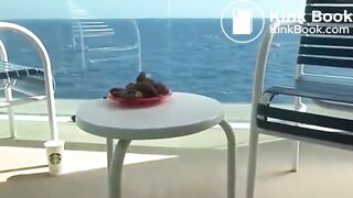 POO AT SEA
