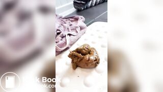 Anglaise fait caca en missionnaire