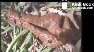 Classic Poop Cutie