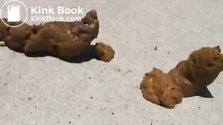 Naughty public pooping