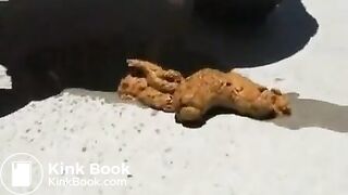 Naughty public pooping