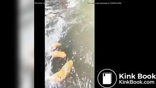 NAKED GIRL POOPING IN A RIVER IN THE WOODS