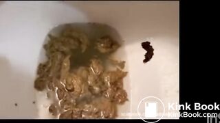 A Cutie Compilation Toilet Edition