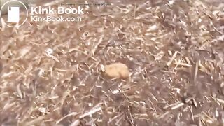 Girl pooping - video 818