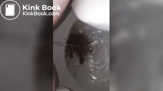 Girl pooping in public bathroom - video 4