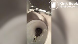 ... poops inside her toilet