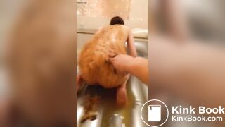jap scat 4 - video 4