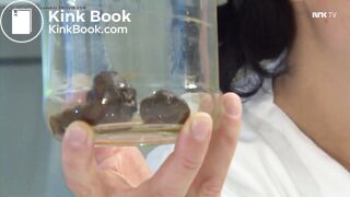 Nordic reporter defecates in a jar