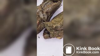 CONSUMING FECES IN THE YARD