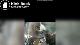 Beautiful beauty pooping