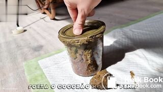 Dutch Babe Has a Jar of Poop For Us