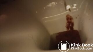 hello again toilet