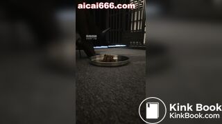 Goddess sera-赏赐家奴吃屎