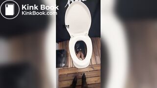 Goddess sera-黑丝女神脚下的犬化黄金奴