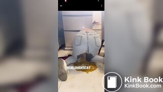 mixed diarrhea 1