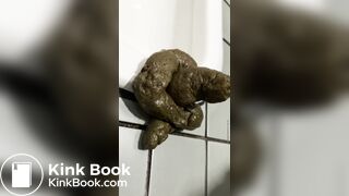 Mistakes made in Japanese-style toilets