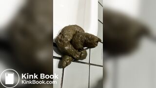 Mistakes made in Japanese-style toilets