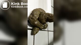 Mistakes made in Japanese-style toilets