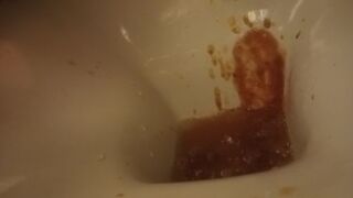 poor toilet, second trip