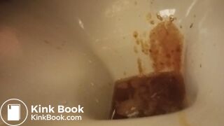 poor toilet, second trip