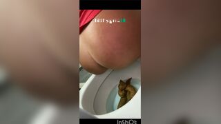 Pooping - video 648