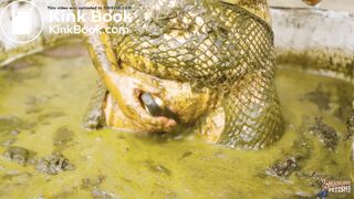 Exploring the farm - orgasm in mud and cowshit