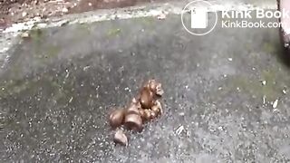 Hot Granny shitting hard