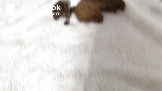Hot girl shitting near mirror