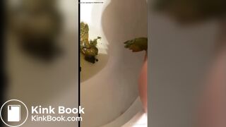 Perfectly flawless and breedable teen shitting