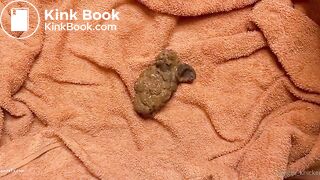 Bautifull White europea scat