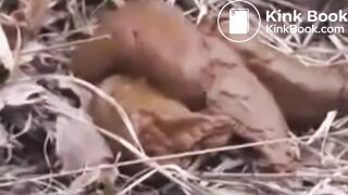 Desperate teen poops in public park