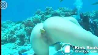 Fish Food - video 2