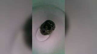 Sweet shit - video 9