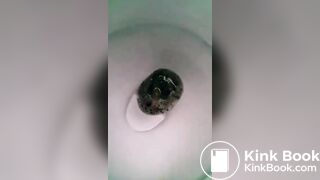 Sweet shit - video 9