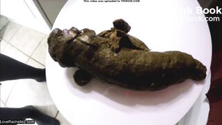 big ass Poop on toilet