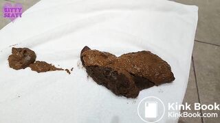 Bathroom Floor Shit - video 2