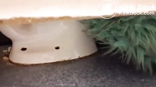 Women pooping in a public toilet