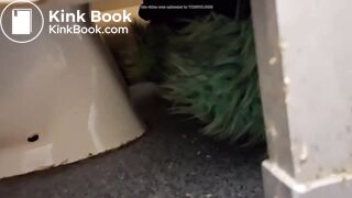 Women pooping in a public toilet