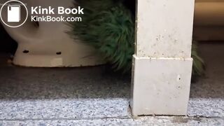 Women pooping in a public toilet