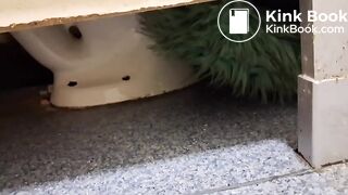 Women pooping in a public toilet