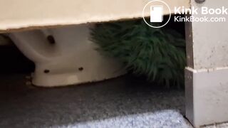 Women pooping in a public toilet