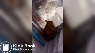 Taking a Shit in the Bin