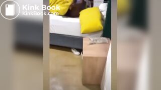 African drunk girl shits herself,friend records