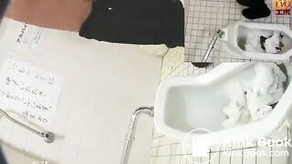 Japanese lady voyeur 4